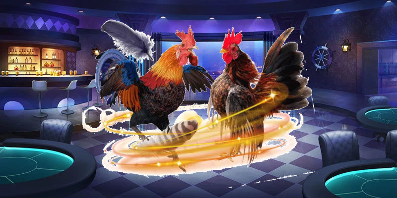 Tỷ Lệ Cược Và Cách Cá Cược Đá Gà